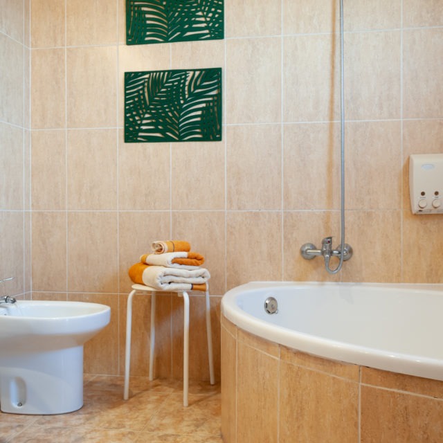 Baño principal