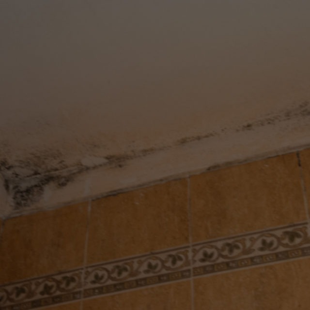 moho lavabo principal